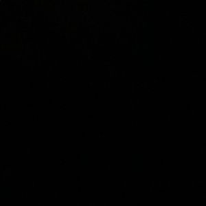 Meet your Posher, Carina